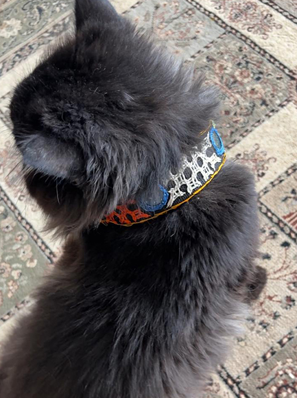 Pets look gorgeous in trending Kutchi Embroidery.